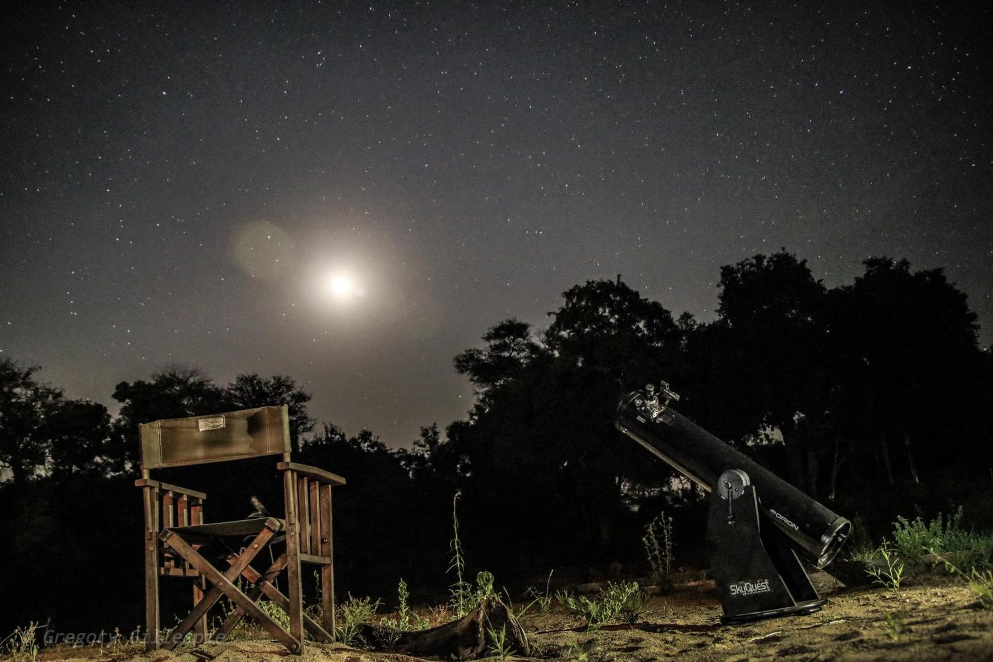 Rhino Post Safari Lodge Скукуза Экстерьер фото