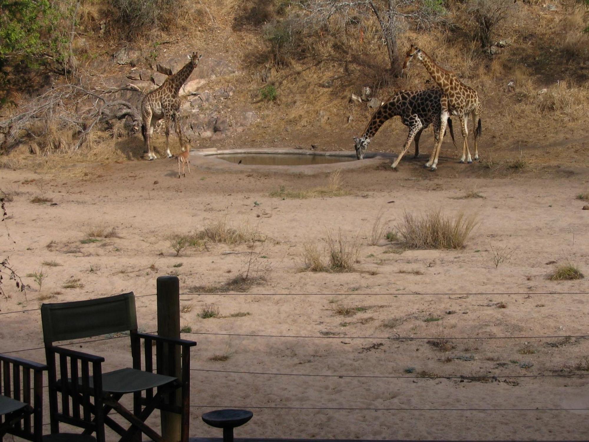Rhino Post Safari Lodge Скукуза Экстерьер фото