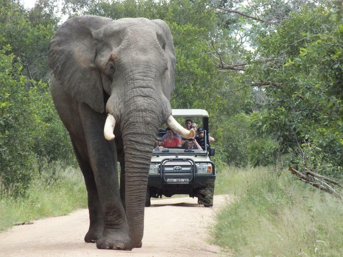 Rhino Post Safari Lodge Скукуза Экстерьер фото